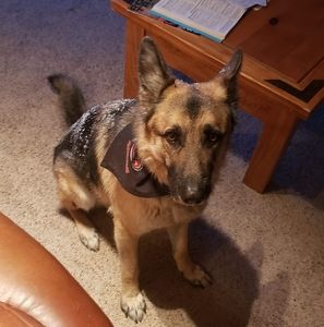 Meet your Posher, Tyrell